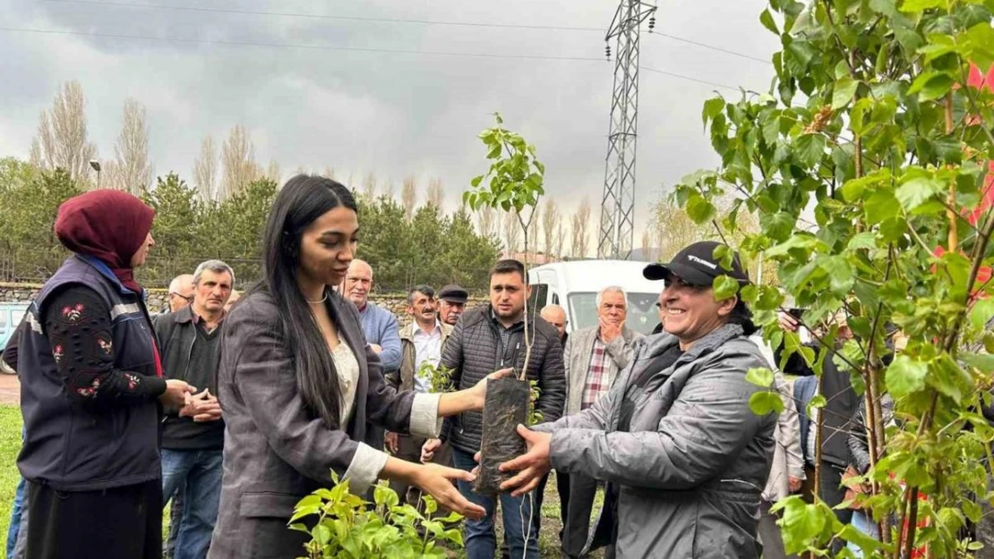 Ardahan'da arı yetiştiricilerine fidan verildi