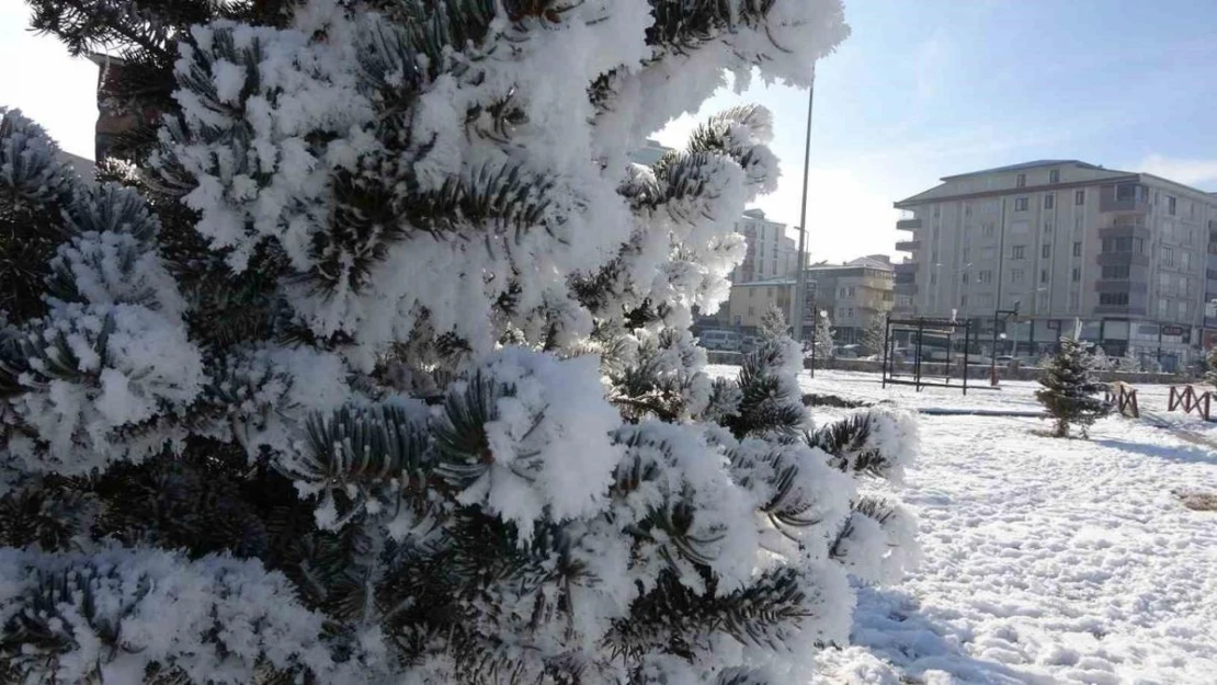 Ardahan'da dondurucu soğukları: Göle -29,8 derece