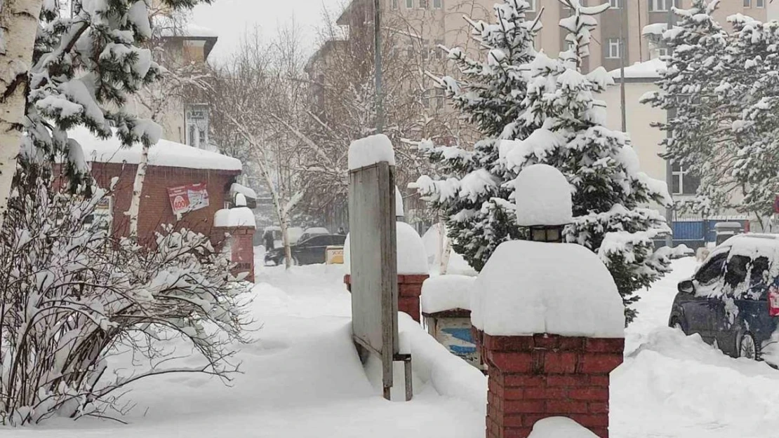 Ardahan'da kar kalınlığı 40 santimetreyi buldu, 207 köy yolu ulaşıma kapandı