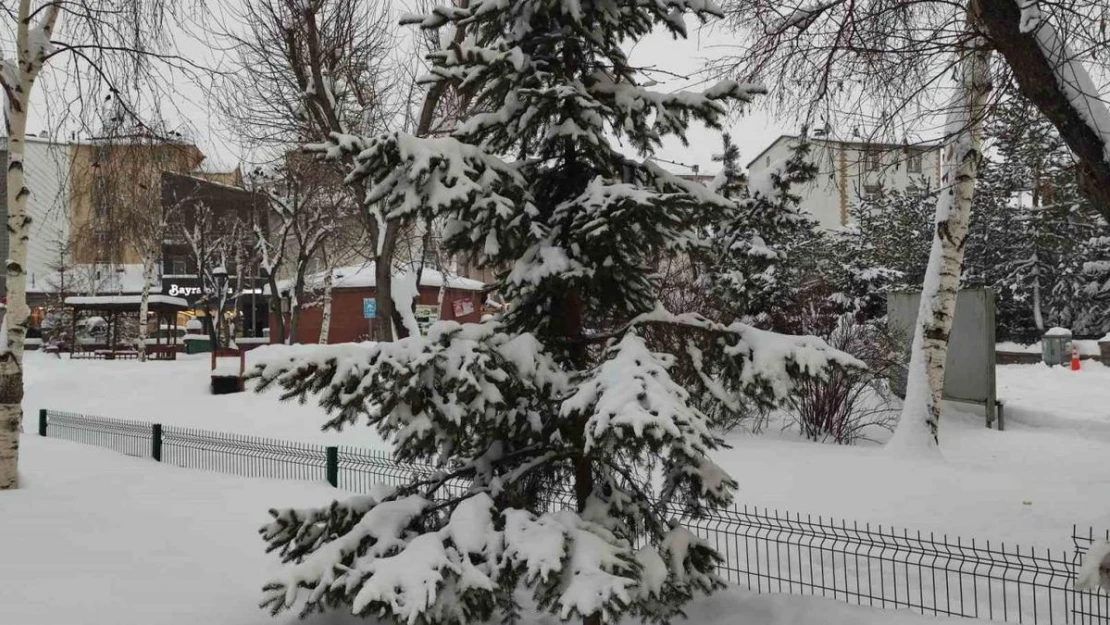 Ardahan'da karla gelen eşsiz güzellik