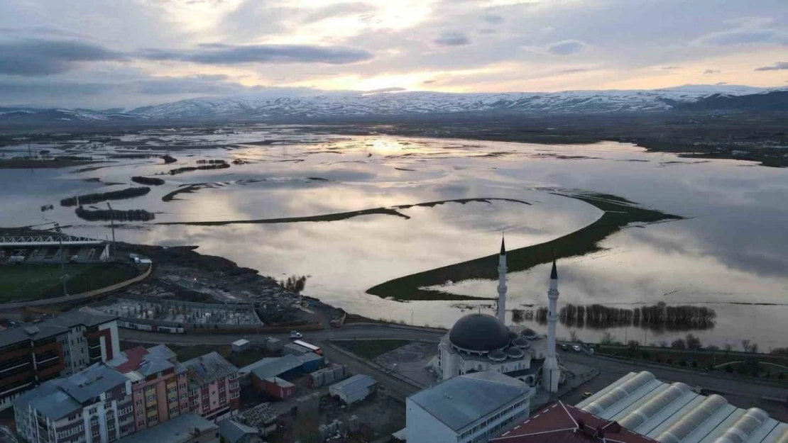 Ardahan'da nehir taştı, ova göle döndü