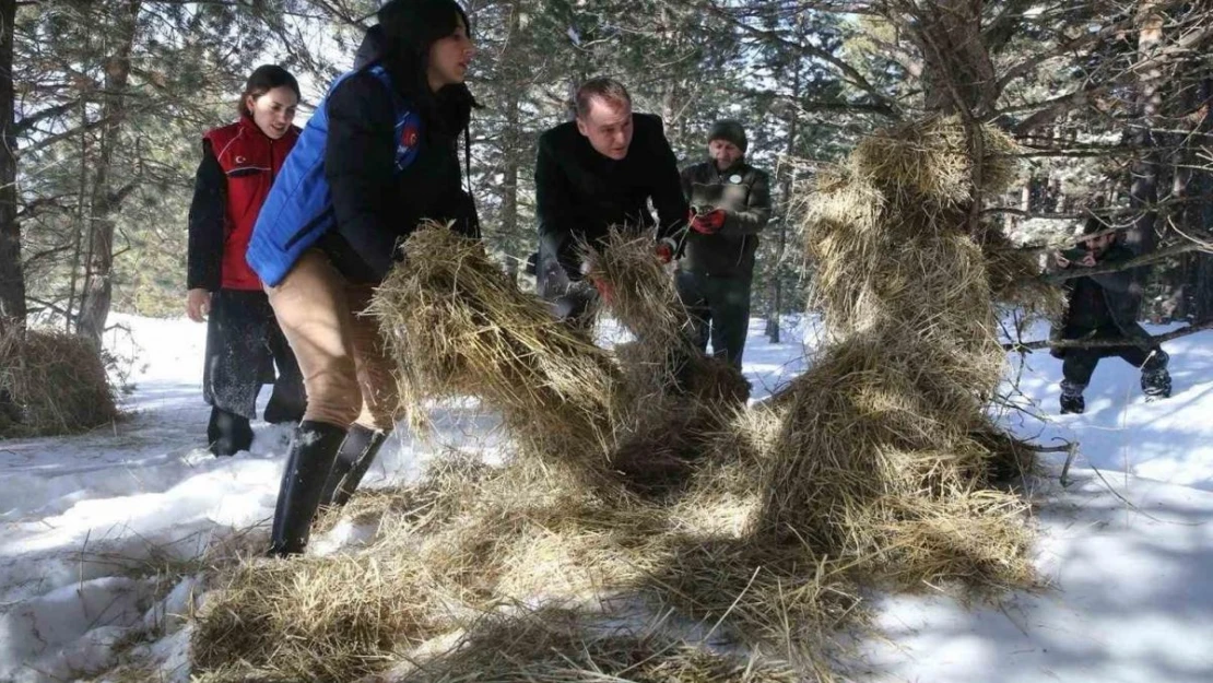 Ardahan'da yaban hayvanları için doğaya yem bırakıldı