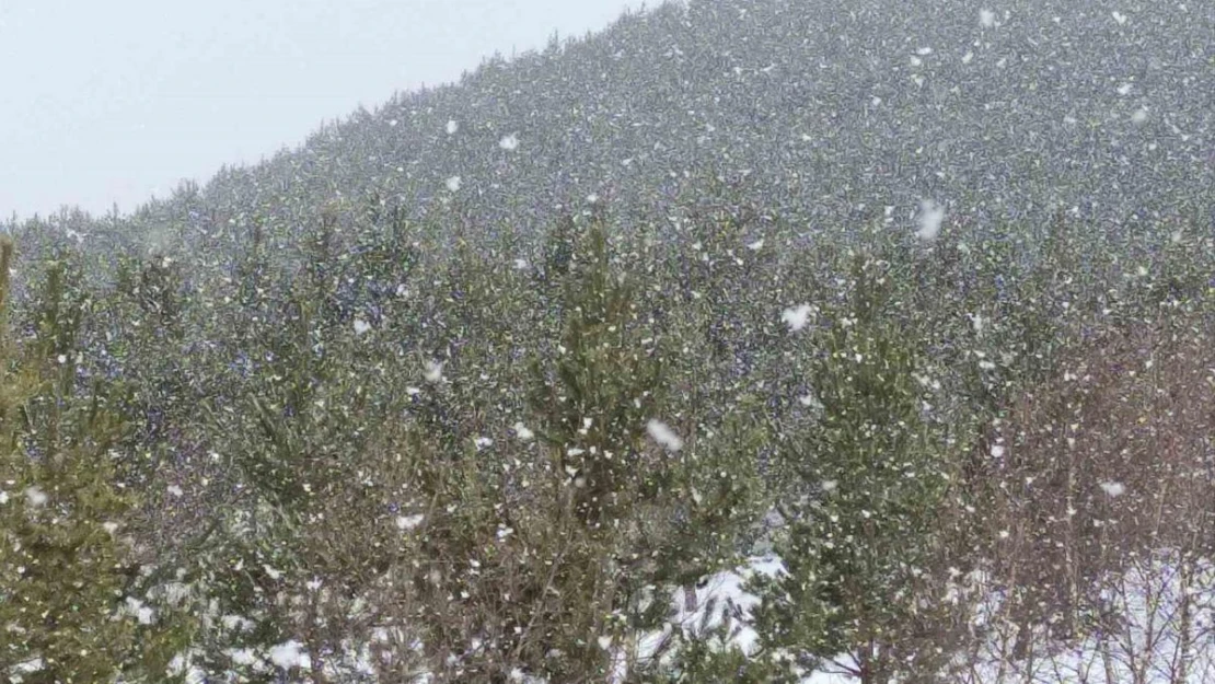 Ardahan'ın yüksek kesimlerinde kar yağışı etkili oldu