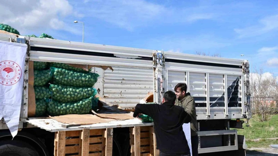 Ardahanlı çiftçilere kavılca buğdayı tohumu ve tohumluk patates dağıtıldı