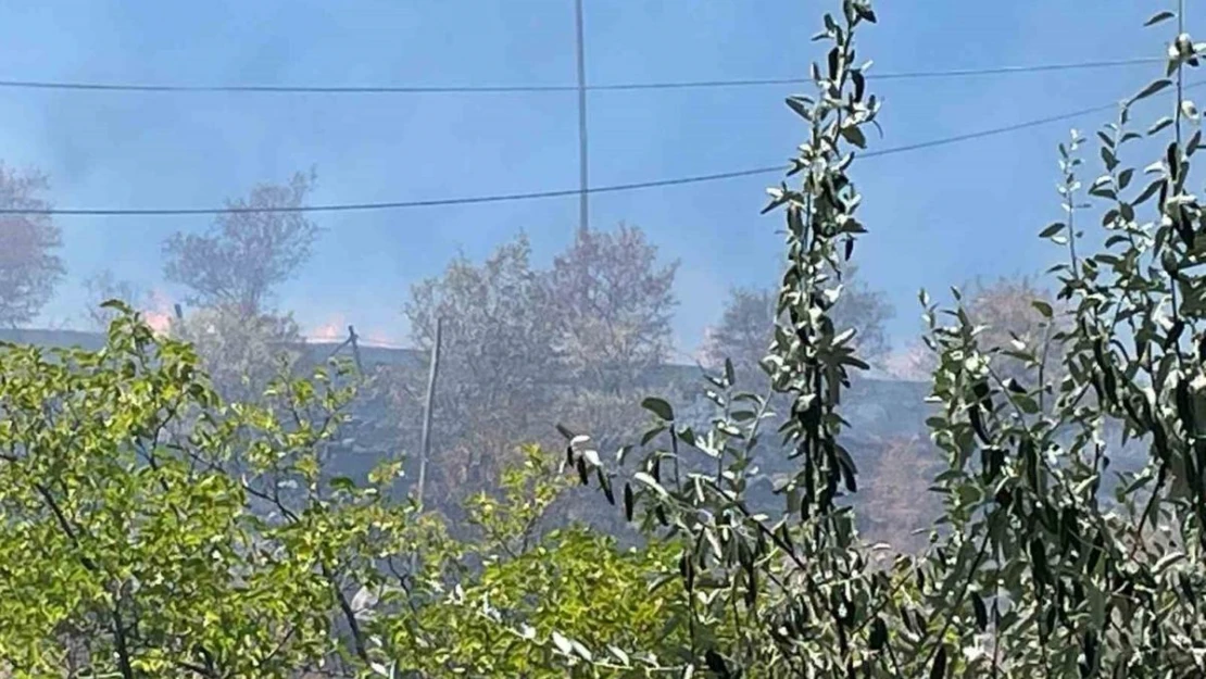 Arguvan'da çıkan yangın meyve ağaçlarına zarar verdi