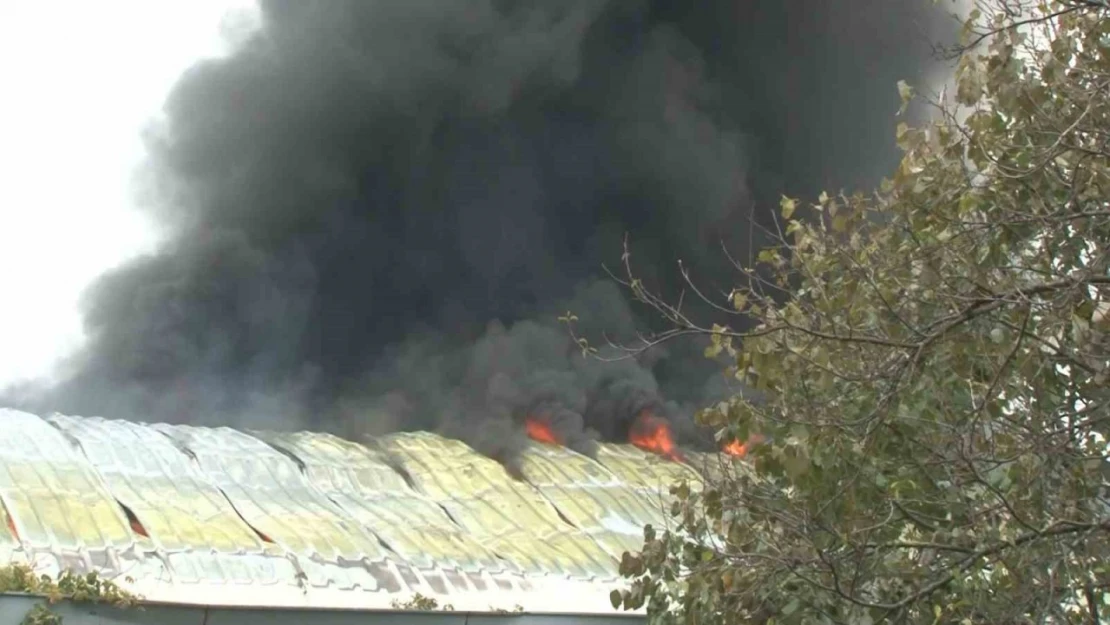 Arnavutköy'de fabrikada korkutan yangın, dumanlar gökyüzünü sardı