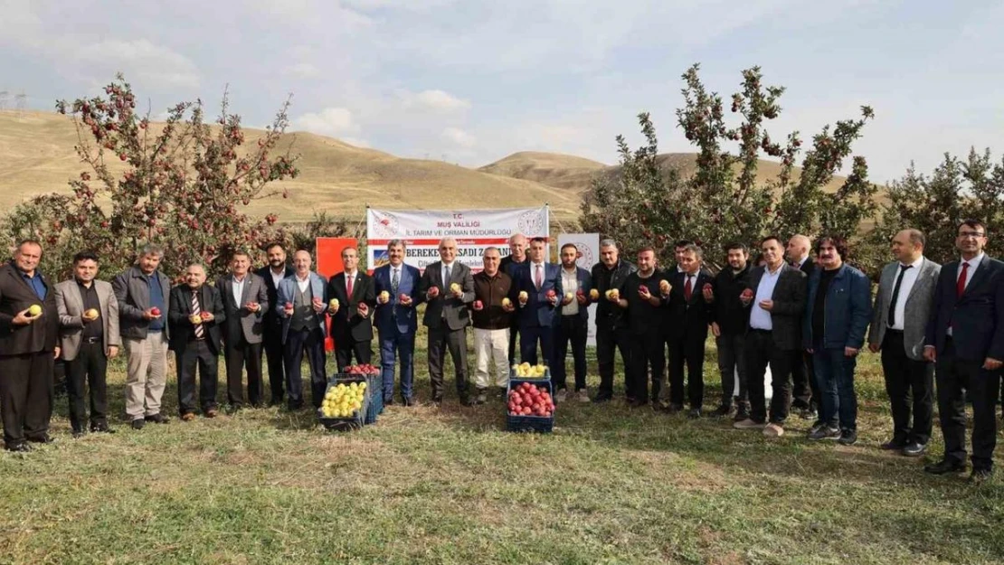 Aromasını gece ve gündüz arasındaki sıcaklık farkından alan elmanın hasadı yapıldı