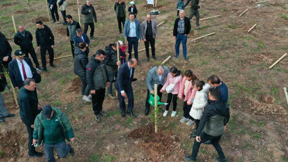 Artvin'de 'Milli Ağaçlandırma Günü' etkinlikleri kapsamında 100 bin adet fidan toprakla buluşturuldu