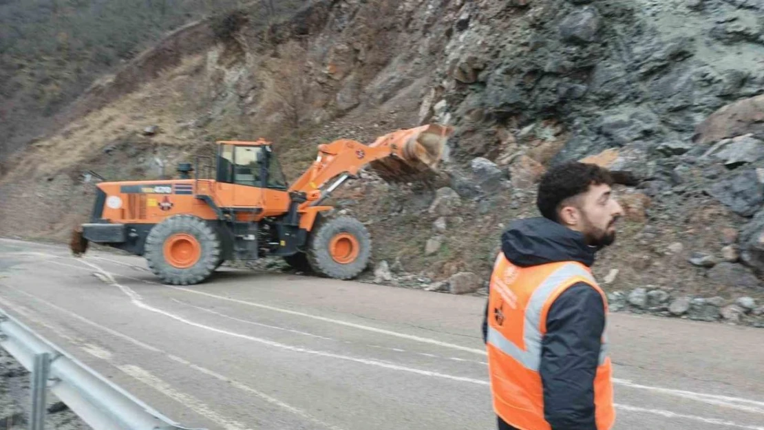 Artvin'de heyelan sonucu bir kişi yaralandı