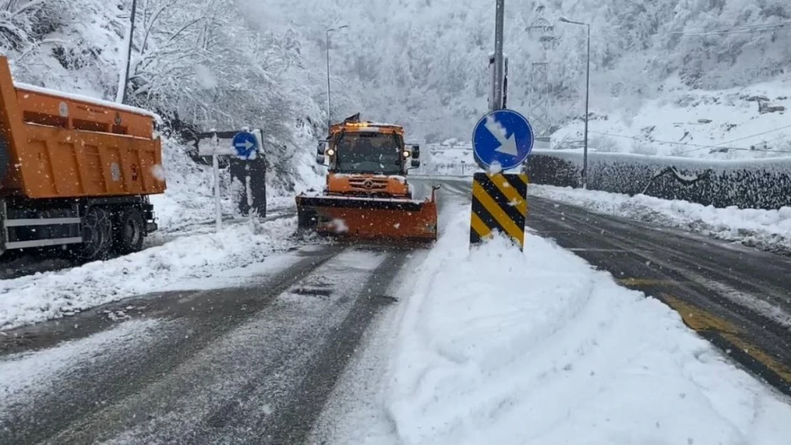 Artvin'de kar yağışı Hopa-Borçka karayolunu olumsuz etkiledi