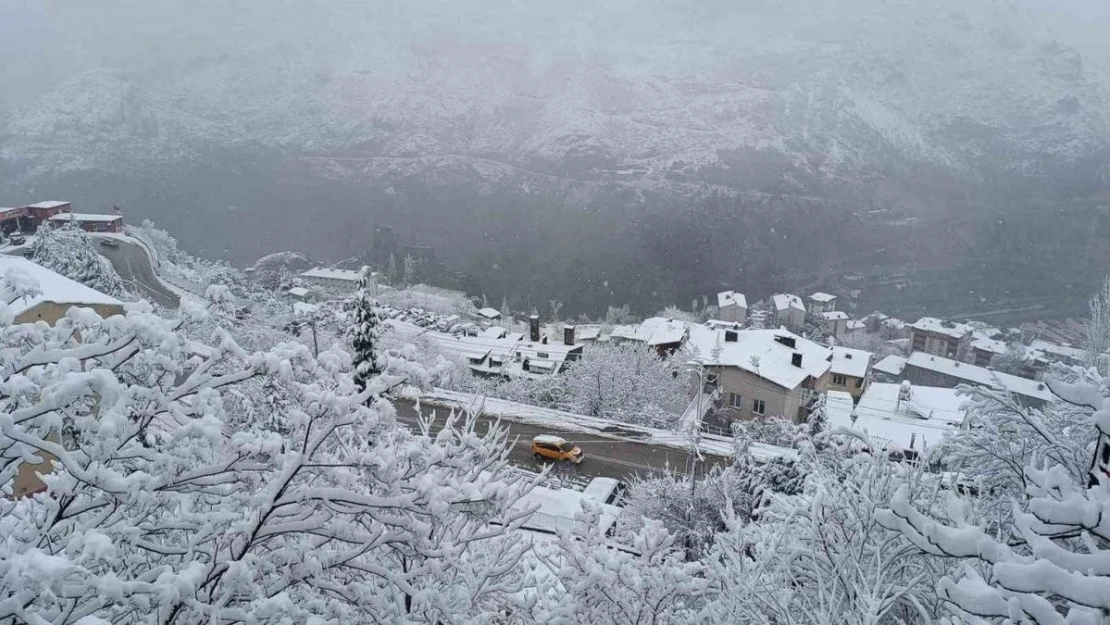 Artvin'de yoğun kar yağışı hayatı olumsuz etkiliyor