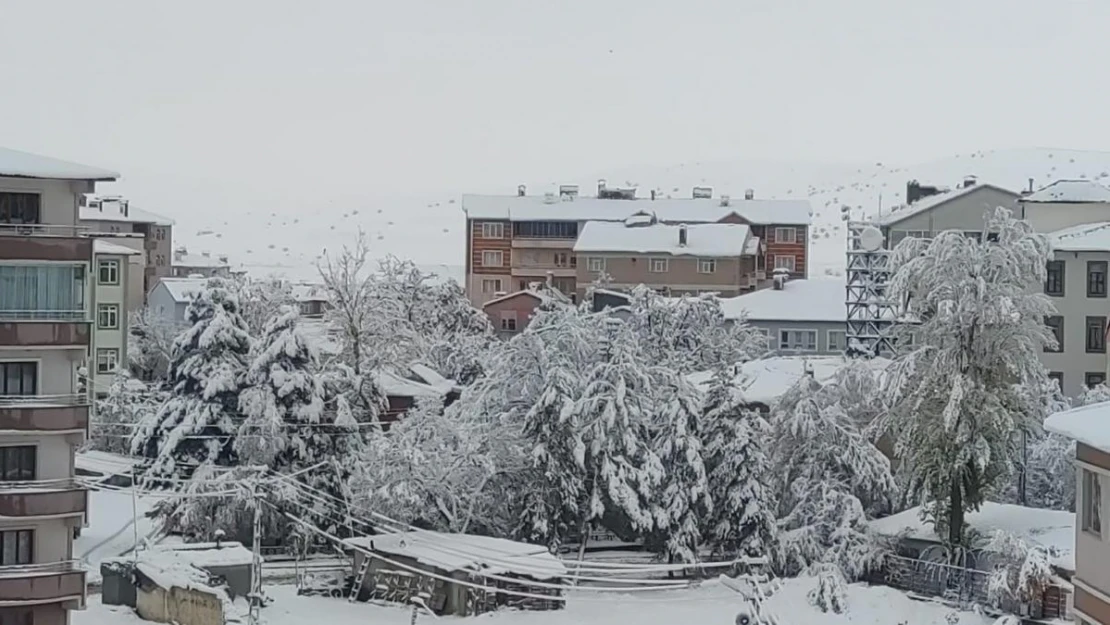 Aşkale'ye mevsimin ilk karı yağdı