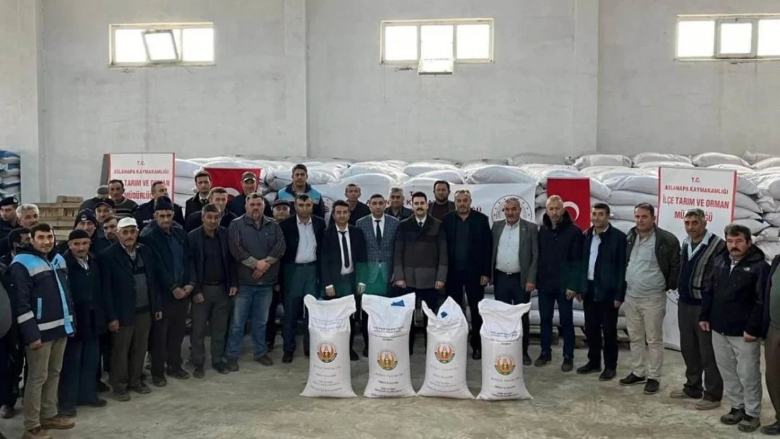 Aslanapa'da 386 çiftçiye yüzde 50 hibeli 65 ton 550 kilo buğday tohumu dağıtıldı