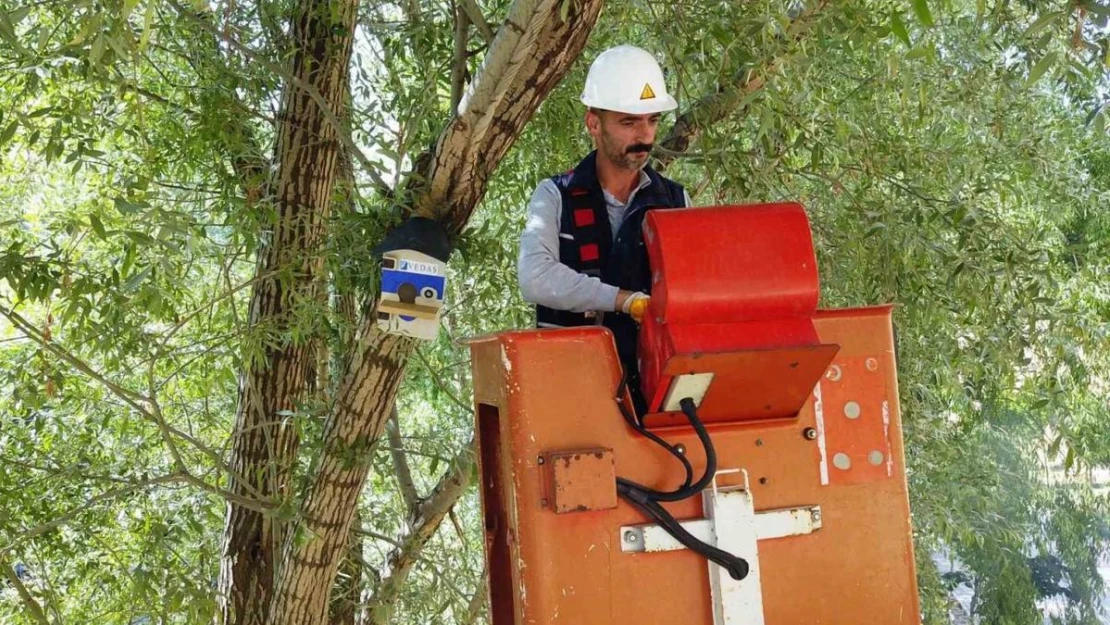 Atıl durumdaki elektrik panoları kuş yuvalarına dönüştürüldü