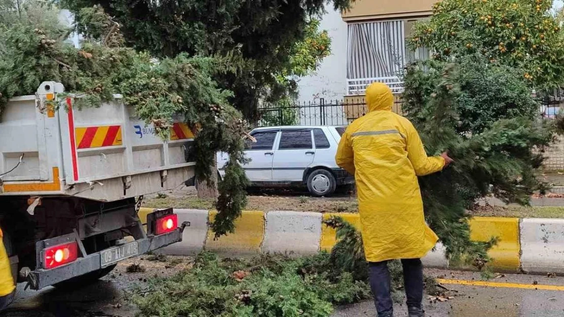 Aydın Büyükşehir Belediyesi tehlikeyi yok etti