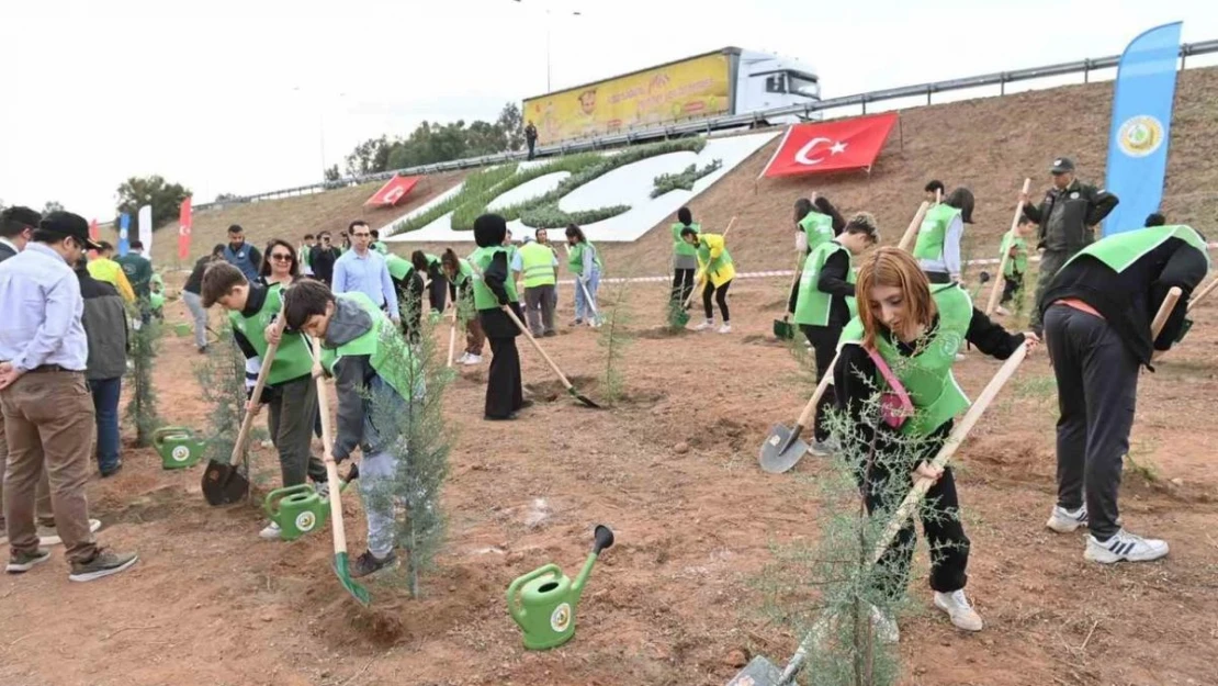 Aydın'da 2 bin 23 mavi servi fidanı toprakla buluştu