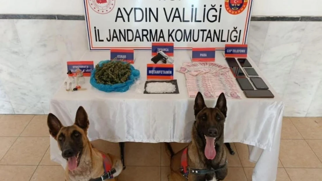 Aydın'da 48 zehir taciri yakalandı