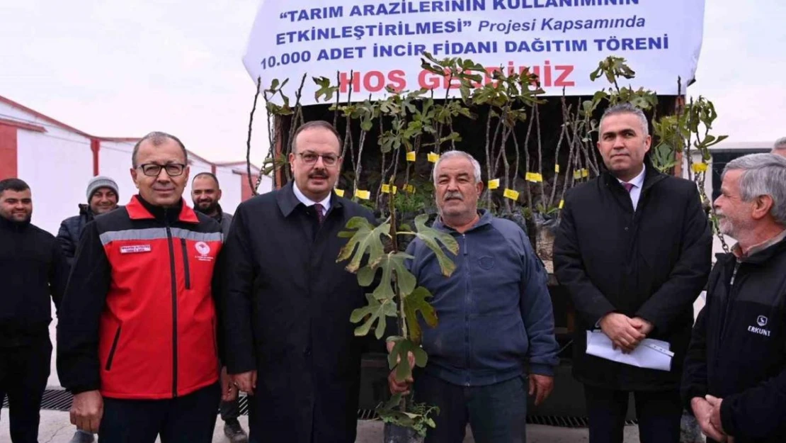 Aydın'da üreticilere 10 bin adet sarı lop incir fidanı dağıtıldı