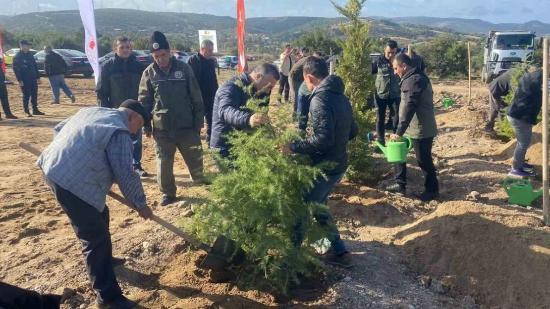 Ayvacık'ta 600 fidan toprakla buluştu