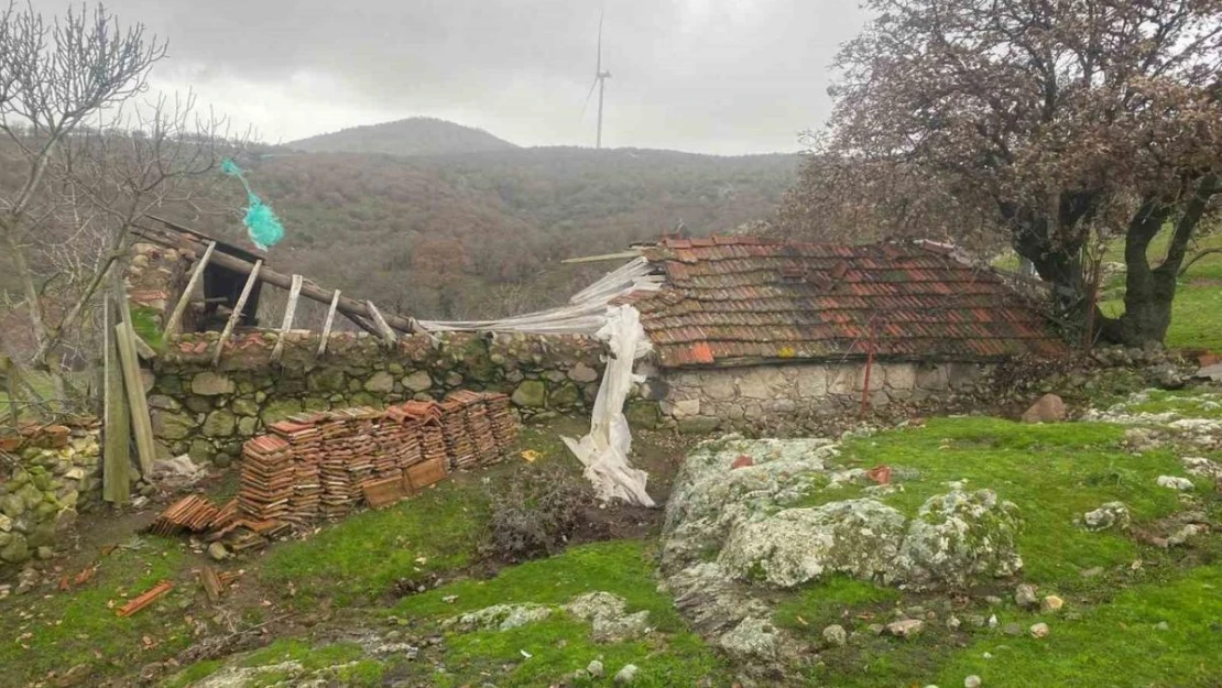 Ayvacık'ta şiddetli fırtına etkili oldu, hayvan damı ile ağıl çatısı uçtu