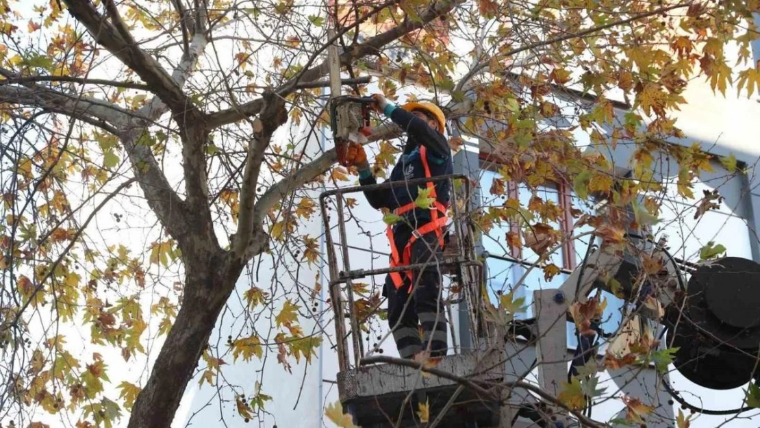 Bağcılar'da budanan dallar geri dönüşüme kazandırılıyor