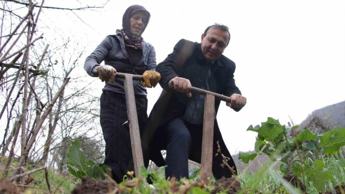 Bağımsız aday 1 oy için tarla belliyor