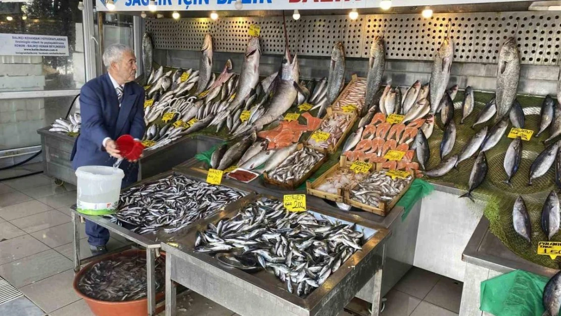 Bağışıklığı korumak için palamut ve hamsi yeme önerisi