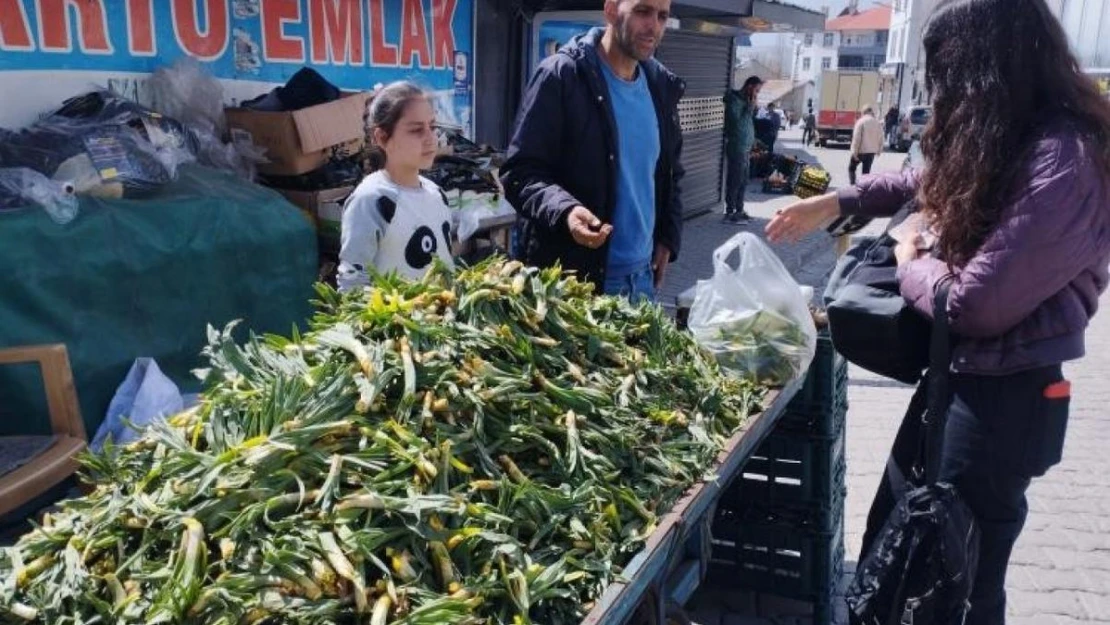 Baharın müjdeleyicisi gülbahar bitkisi tezgâhlarda yerini aldı