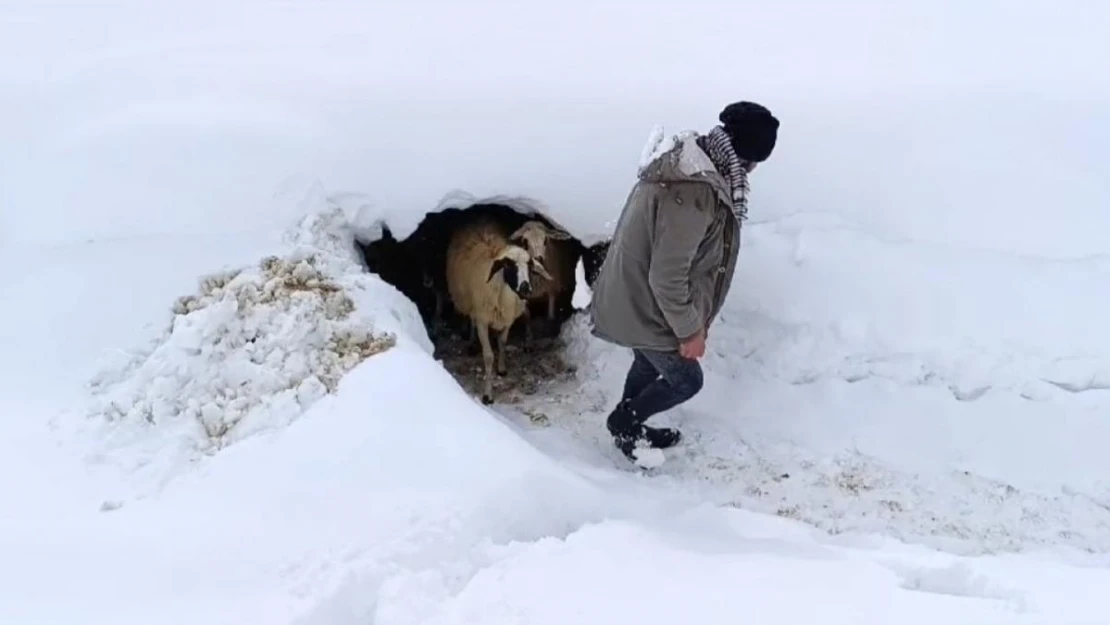 Bahçesaray'da kar etkili oluyor