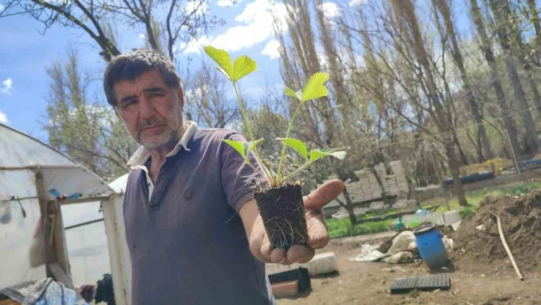 Bahçesinde üretiyor, Türkiye'nin dört bir yanına ulaşıyor