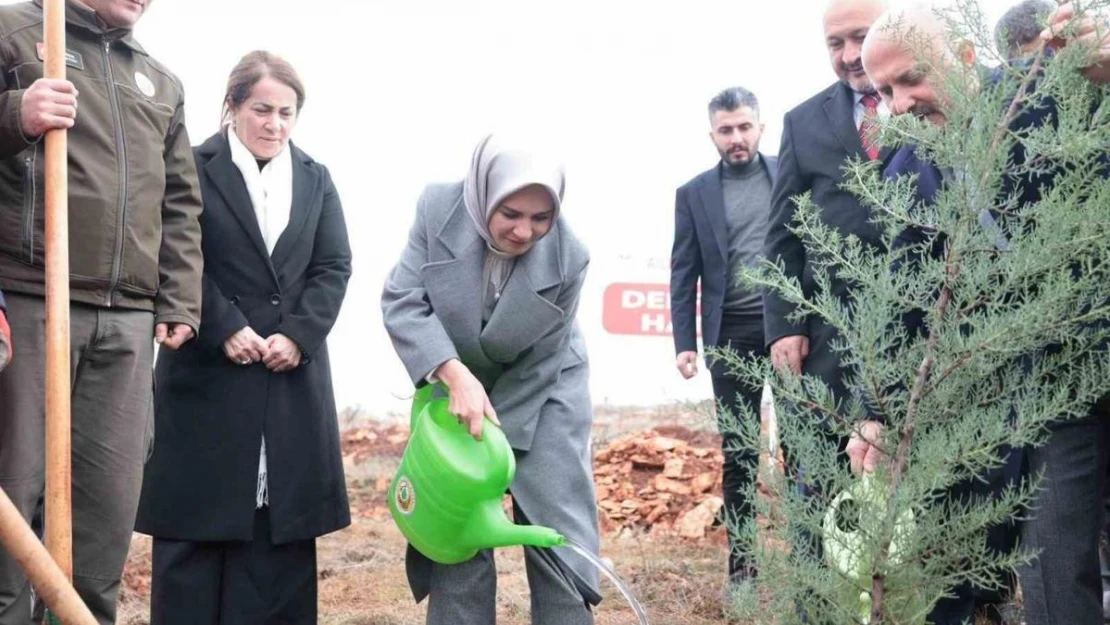 Bakan Göktaş deprem şehitleri adına fidan dikti