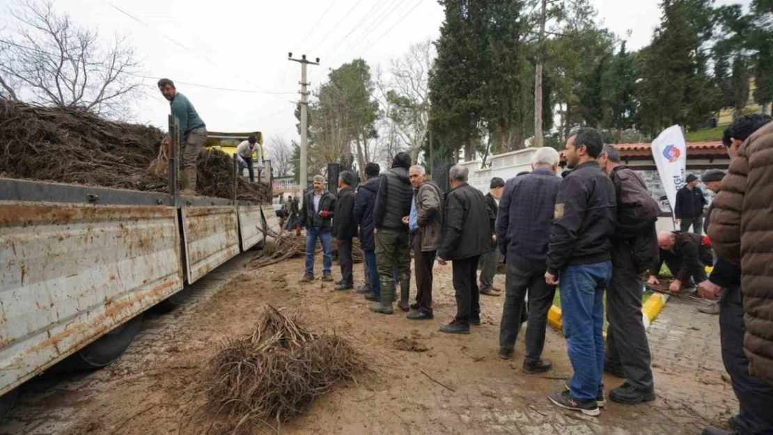 Balıkesir Büyükşehir'den üreticilere meyve fidanı desteği