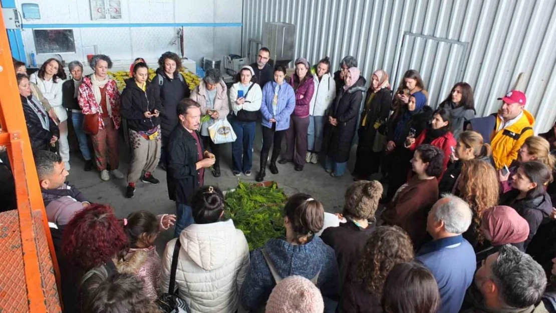 Balıkesir'de tıbbi aromatik bitki yetiştiriciliği kurslarına yoğun ilgi