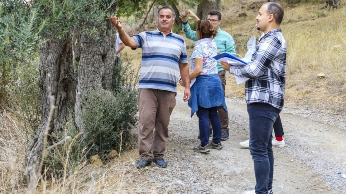 Başka Bir Tarım Sertifikası fide ve fidancılık alanında verilmeye başlandı