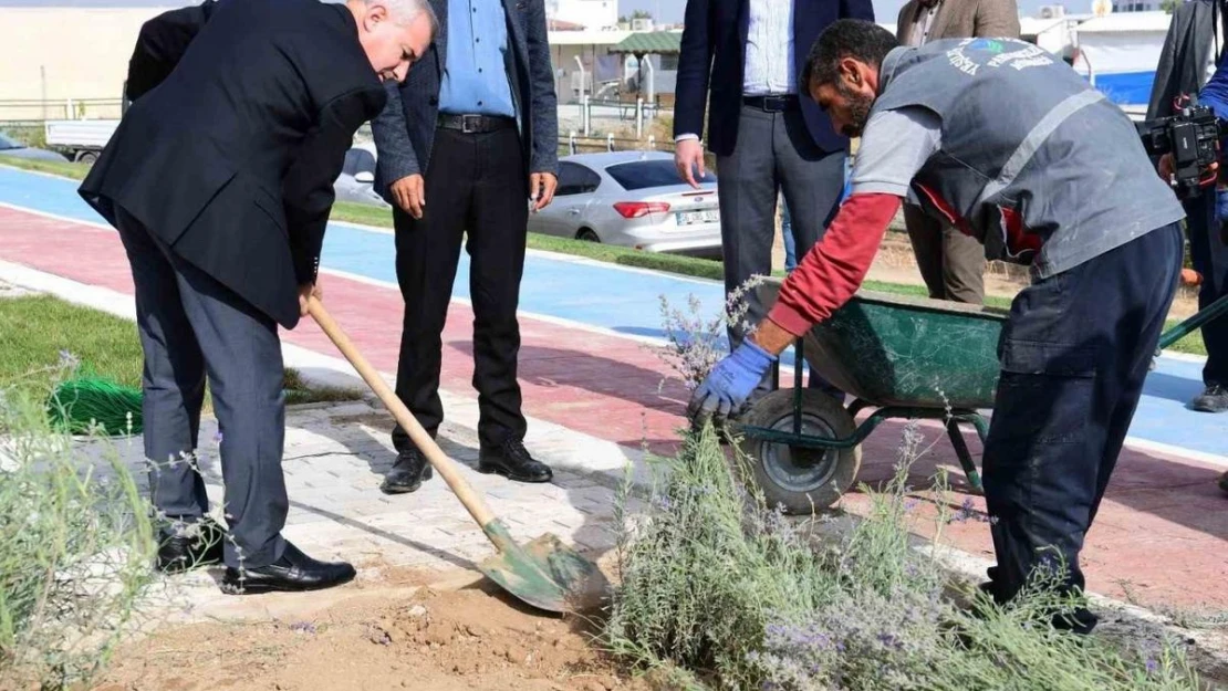 Başkan Çınar, Lavanta bahçelerini inceledi