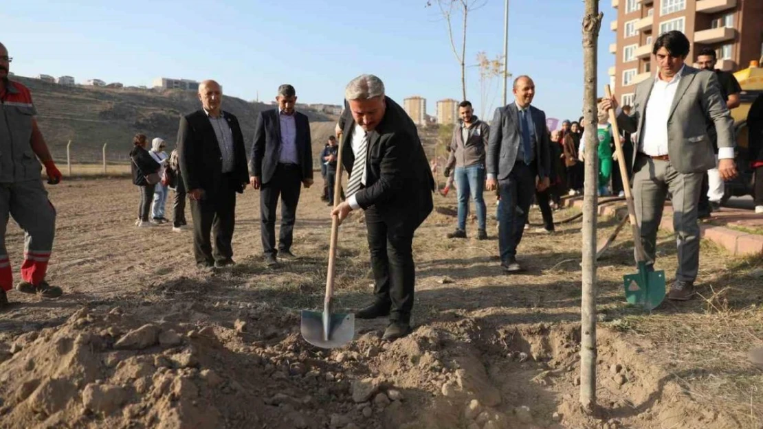 Başkan Palancıoğlu: 'Fidan değil ağaç dikiyoruz'