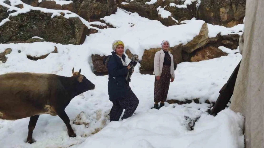 Batman'da kar yağışı nedeniyle kapanan köy yolları açılıyor