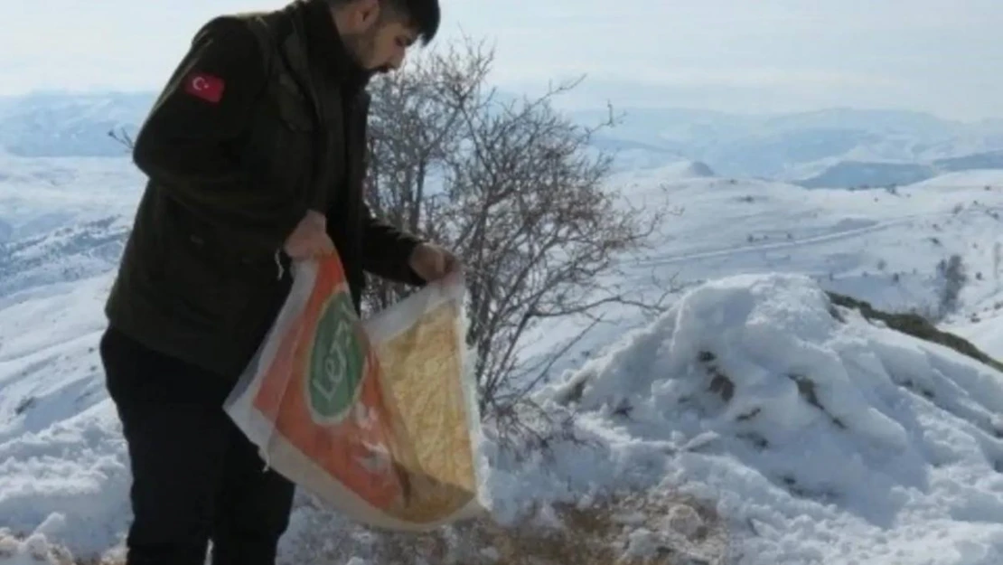 Bayburt'ta yaban hayvanları için doğaya yem bırakıldı