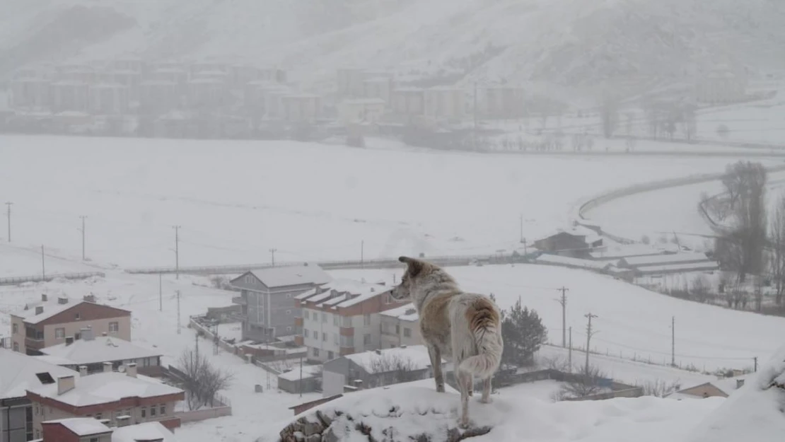 Bayburt'un yüksek kesimlerinde kar yağışı etkili oldu