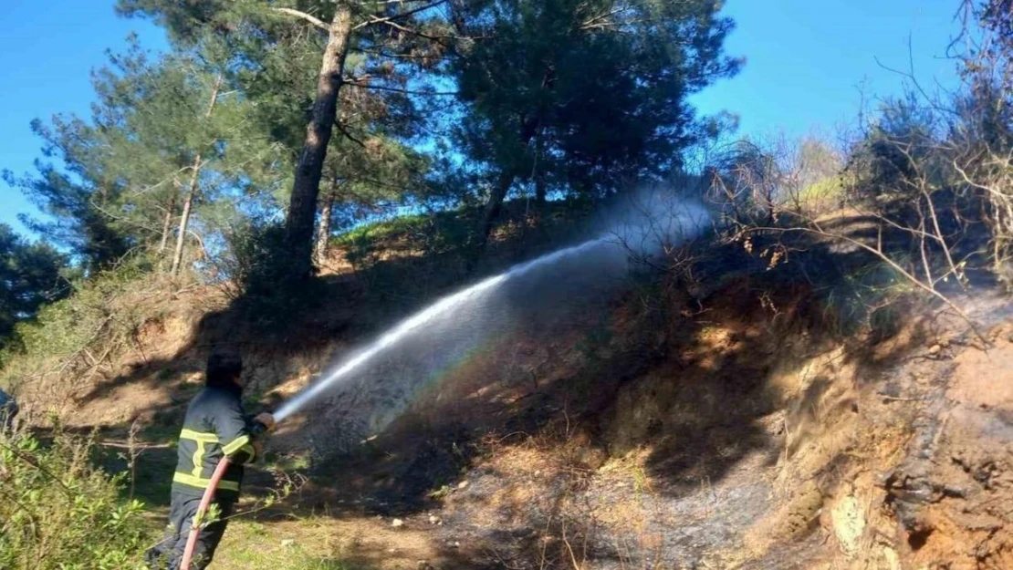 Belen'de ormanlık alanda çıkan yangın söndürüldü