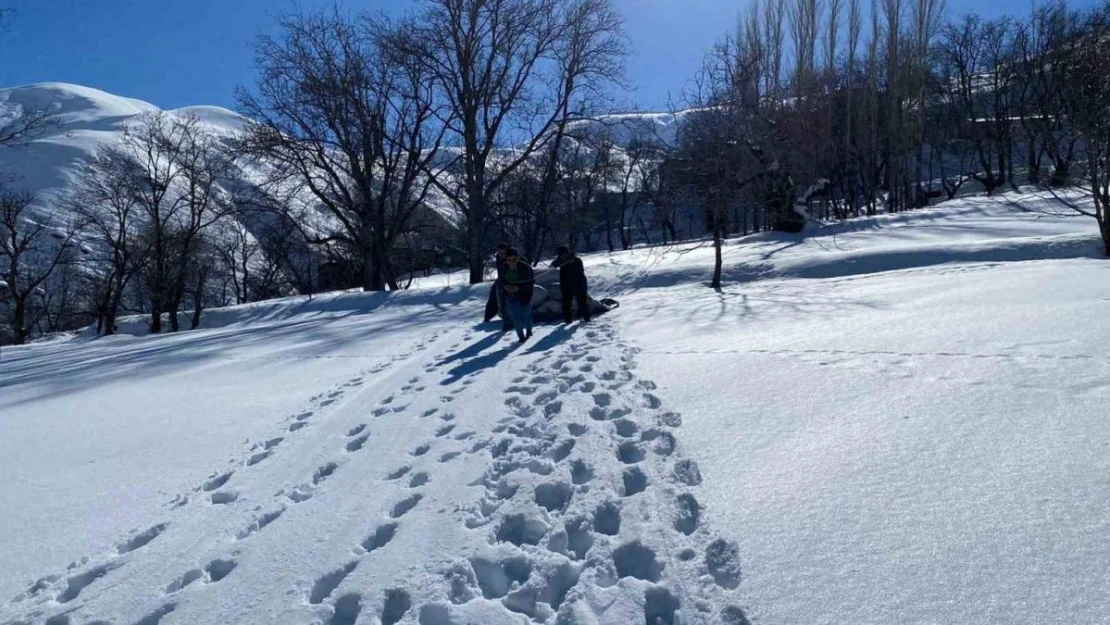 Besicilerin zorlu kış mesaisi sürüyor