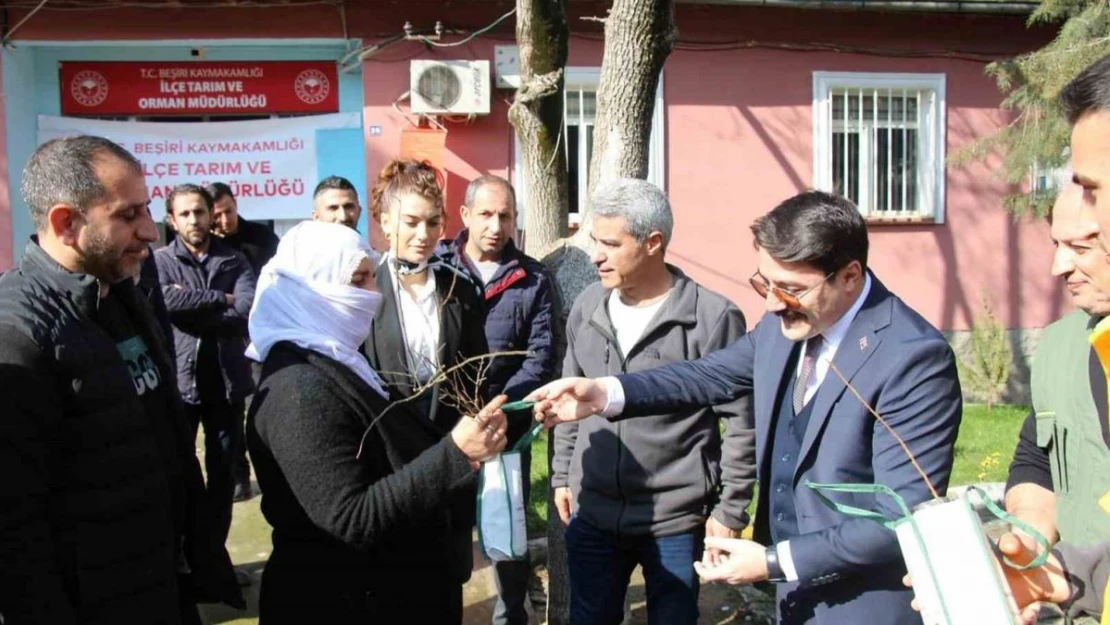 Beşiri'de çiftçilere ücretsiz 12 bin adet badem ve fıstık fidanı dağıtıldı