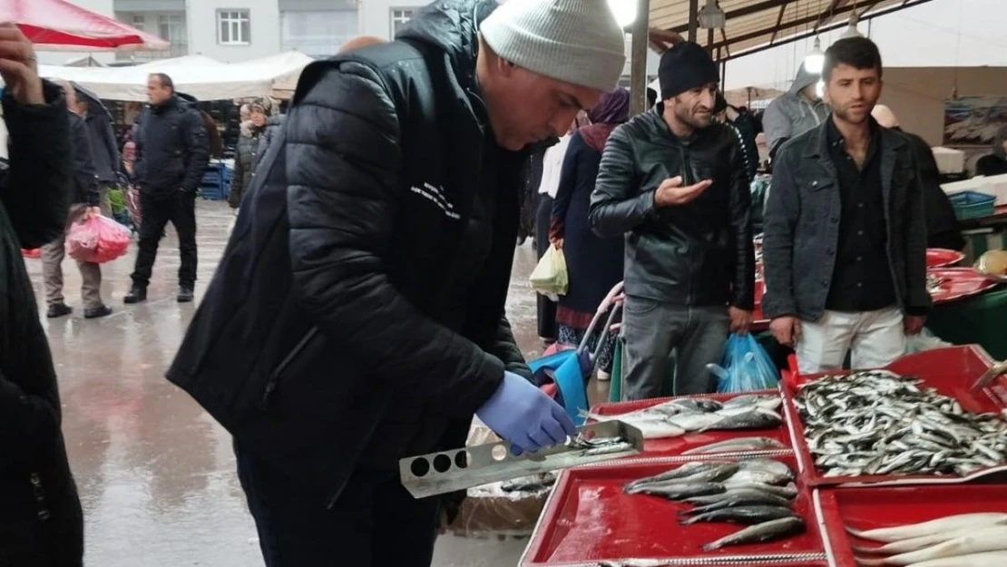 Beyşehir'de boy limiti altında balık tüketilmemesi çağrısı