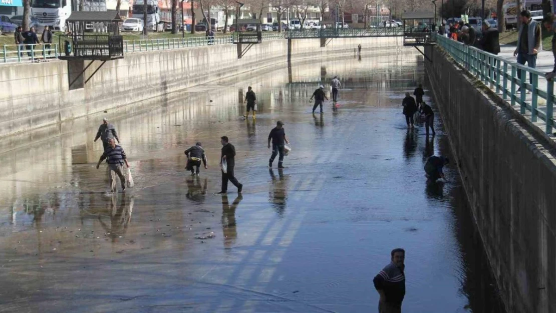 Beyşehir Gölü'nden kanala dökülen balıkları toplamak için birbirleriyle yarıştılar