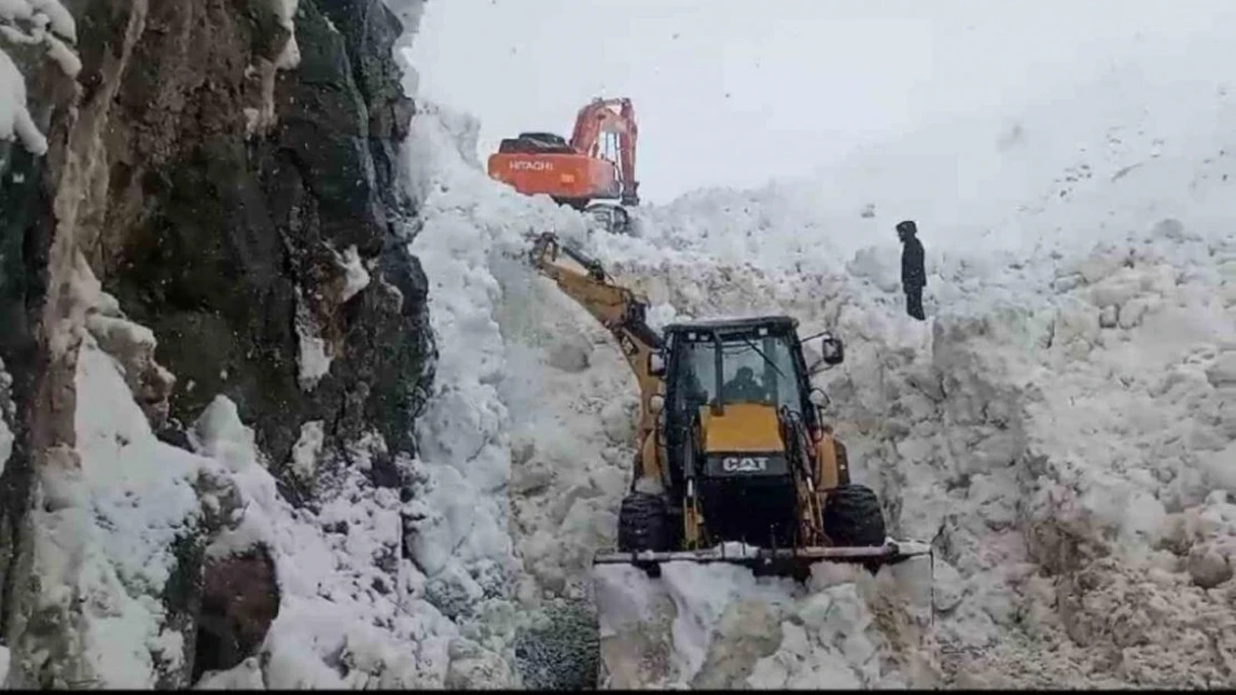 Beytüşşebap'ta yaylada kalan ailelerin karla kaplı yolunu açma çalışmaları sürüyor