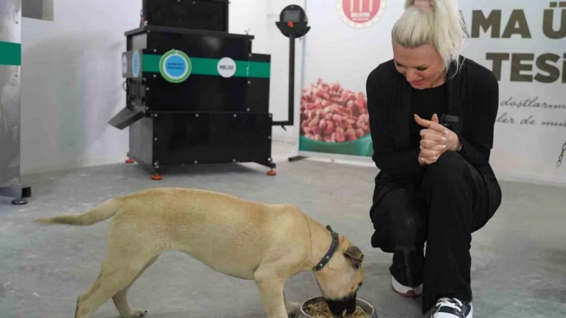 Bilecik Belediye Başkanı Subaşı'ndan köpek katliamıyla ilgili açıklama