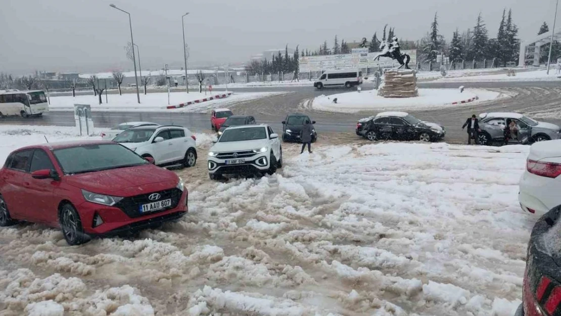 Bilecik'te kar yağışı hayatı olumsuz etkiledi