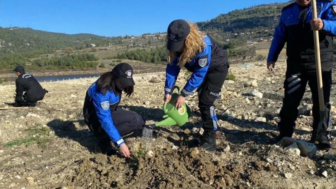 Bin fıstıkçamı ve harnup fidanı toprakla buluştu