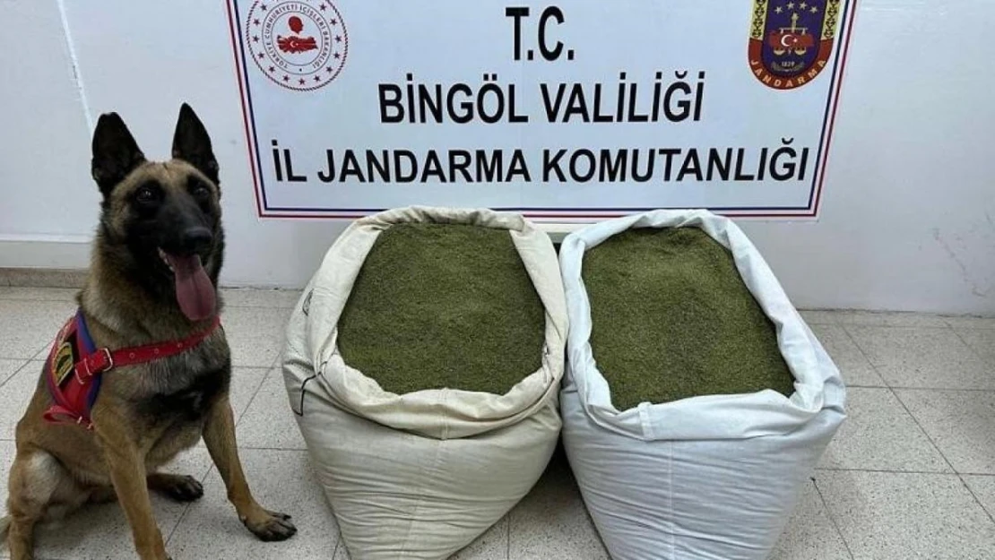 Bingöl'de 45 kilo uyuşturucu madde ele geçirildi