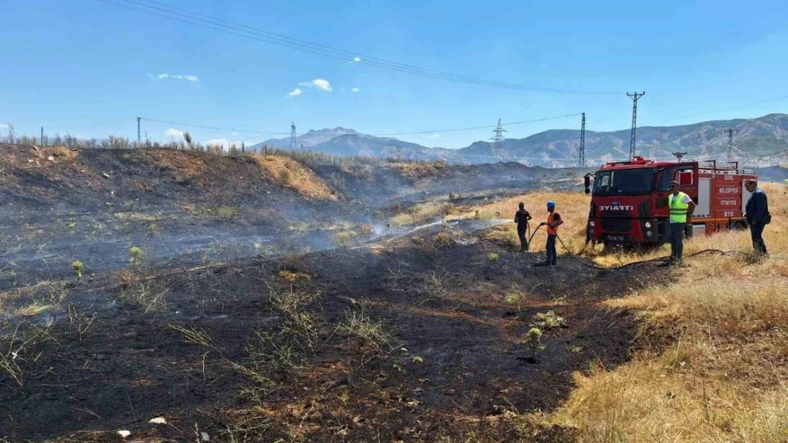 Bingöl'de anız yangını büyümeden söndürüldü